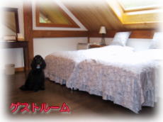 �Q�X�g���[��