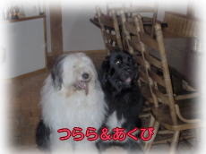 ���Ƃ�����