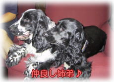 ���ǂ��o��