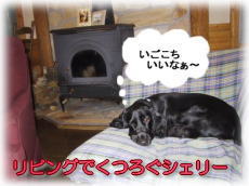 ���낮�V�F���[