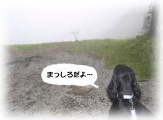 �܂�����