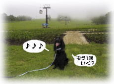 �y��������