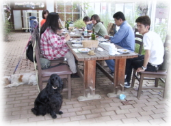 �݂�Ȃł��͂�