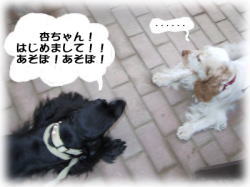 �ǂ���񁕃V�F���[