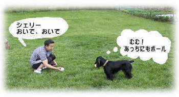 �x�K�p�p���V�F���[