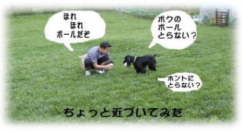 �x�K�p�p���V�F���[