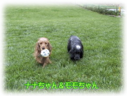 �i�i����񁕃��������