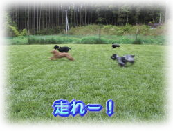 �݂�Ȃő���I