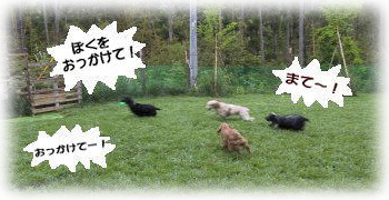 �ǂ�������ꂲ����