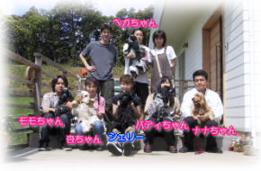 �����O�E�b�h�t�B�[���h�ɂ�