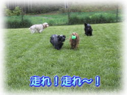 ����I����I