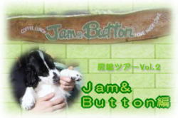 Jam&Button��