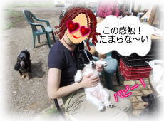 �V�F���[�}�}�����x