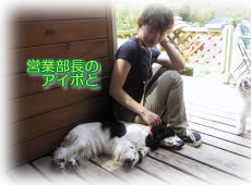 ������c�ƕ���