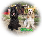 �ǂ�����