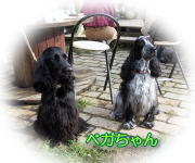 �x�K������