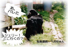 �{�N���B�B�B