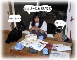 ����������