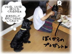 �ڂ��ɂ�����邩��