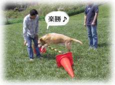 �}�[�x���[�̃W�����v