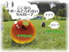 ���S�n��