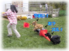 �Y���͂��`��H