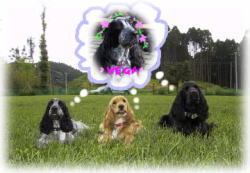 �x�K�����ւ̑z��