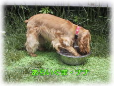 ���炢���܁H