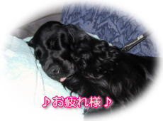 ���E��E���E��