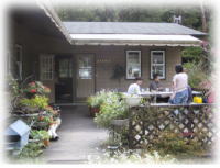 �n�[�u�L�b�`��