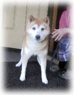 �T���^����