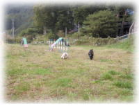 �h�b�O����