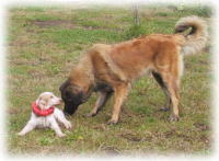 �r�r�����H