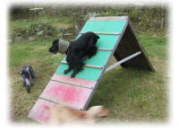 �A�W���e�B