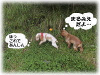 �B�������肪