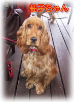 �M�q�����