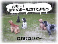 ��Ȃ킯�Ȃ��I