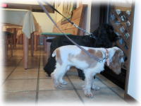 ����߂����J