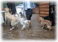 �e���X�ő呛��