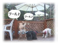 �v�[����������