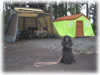 �e���g����I��