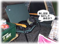 �l���\�t�@�[