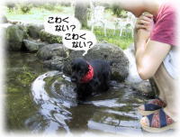 ���킭�Ȃ��H