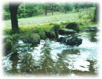 �o�V���o�V��