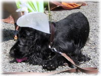 �N�[���_�E��