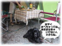 �҂��Ă܁`��