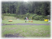 �����L��S�i