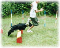 �W�����v