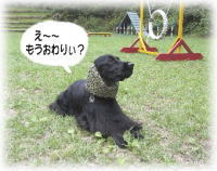 �����I���H