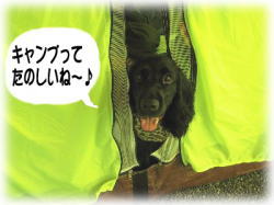 �y�����L�����v